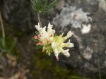 au creux des rochers