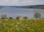 Lac du Jura
