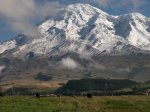 à la conquête du Chimborazo