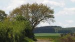 Chemin près de Hargimont