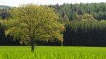 près de Hargimont